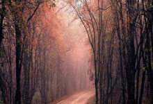 伊涅斯塔东京最后一舞 巴塞传奇圆满谢幕.