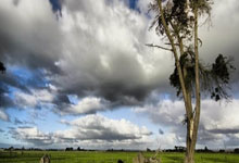 东升国际：三人篮球——国际篮联三人篮球亚洲杯：中国女队晋级半决赛.