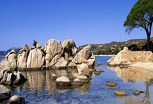 【人物】图多尔：忠臣回归，义无反顾拯救尤文危局.